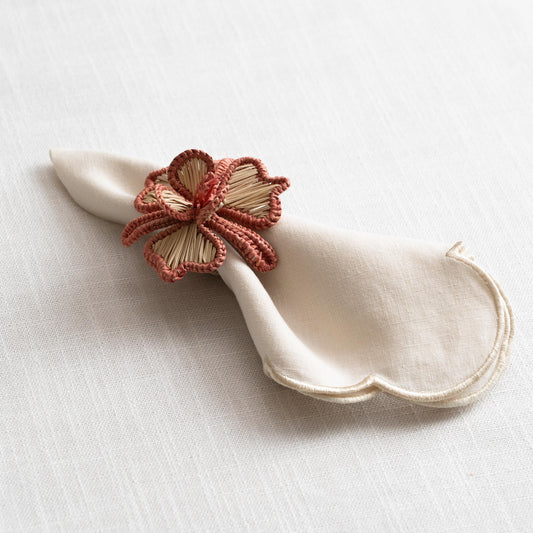 Orquidea Salmon